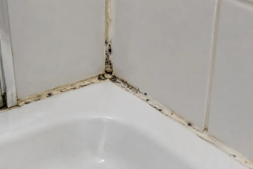 Kitbedrijf Heiloo – beschimmelde kitranden